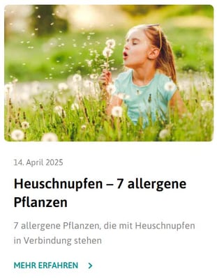 ratgeber-7 pflanzen