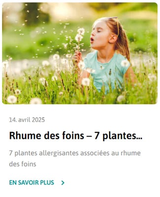 ratgeber-7 plantes