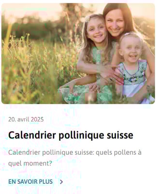 ratgeber-calendrier pollinique